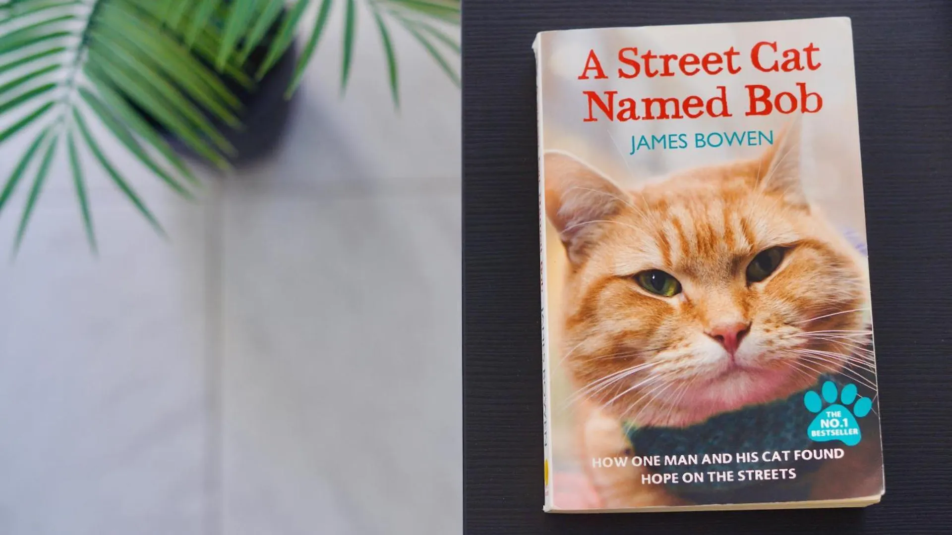 Apartamento El Gato Costa Del Silencio 0*,  İspanya
